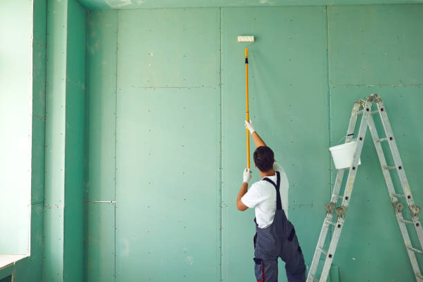 Best Residential Mold Inspection & Testing  in Elk River, MN