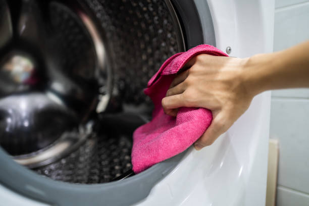 Best Dehumidification Services  in Elk River, MN