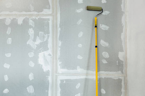Best Forensic Mold Investigation  in Elk River, MN