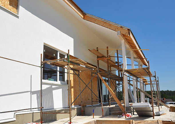 Professional Mold Removal in Elk River, MN