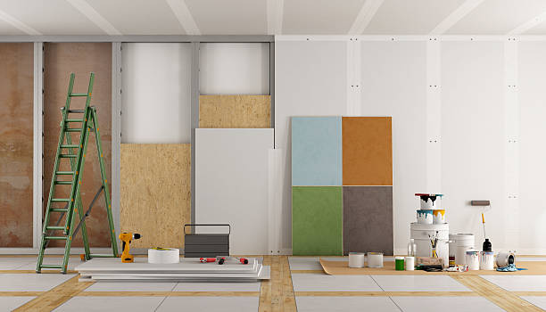 Best Mold Odor Removal Services  in Elk River, MN