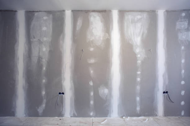 Best Biohazard Mold Removal  in Elk River, MN